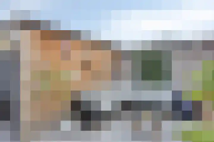 Sikkel 51 Hendrik-Ido-Ambacht thumbnail 26