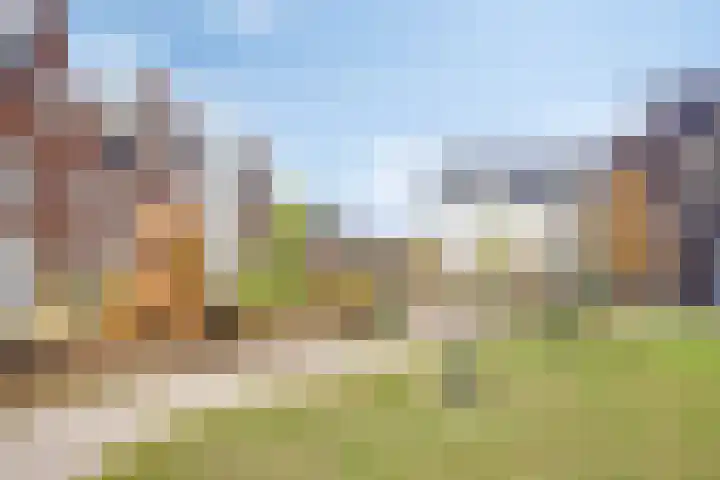 Sikkel 51 Hendrik-Ido-Ambacht thumbnail 30