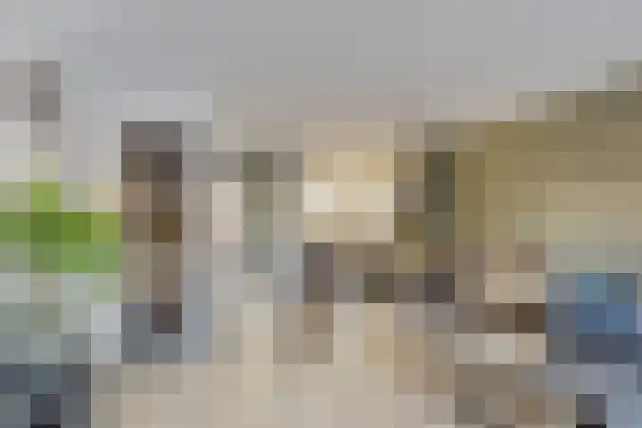 Sikkel 51 Hendrik-Ido-Ambacht thumbnail 8