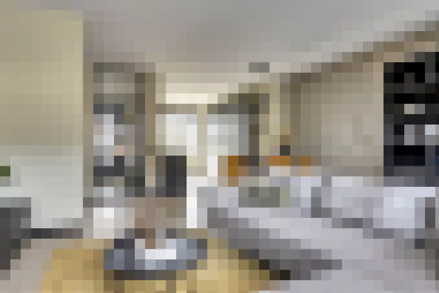 Sikkel 61 Hendrik-Ido-Ambacht thumbnail 19