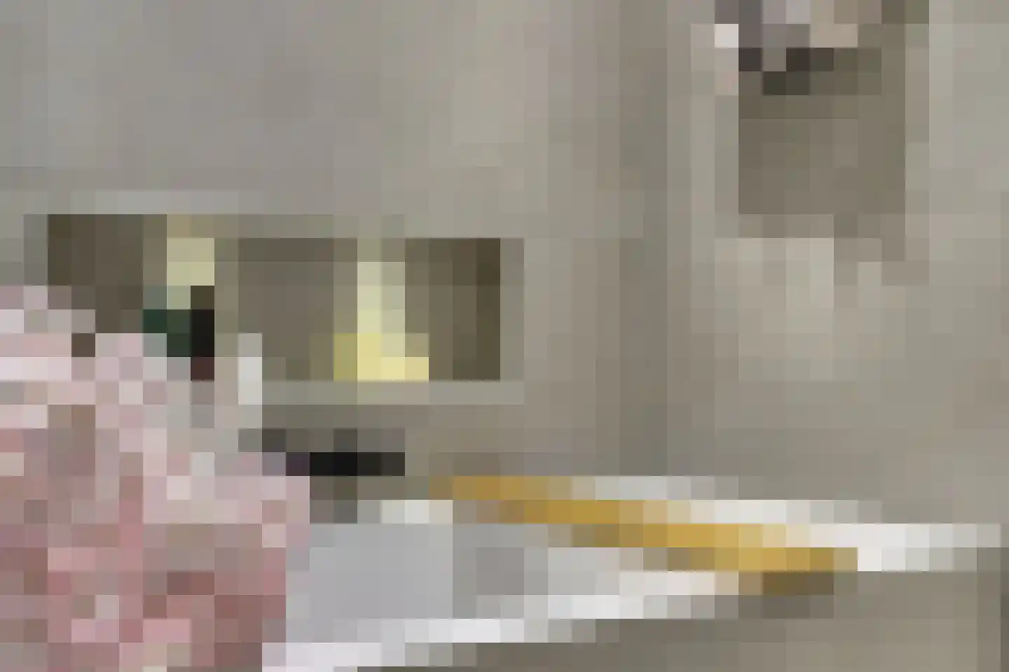 Sikkel 61 Hendrik-Ido-Ambacht thumbnail 32