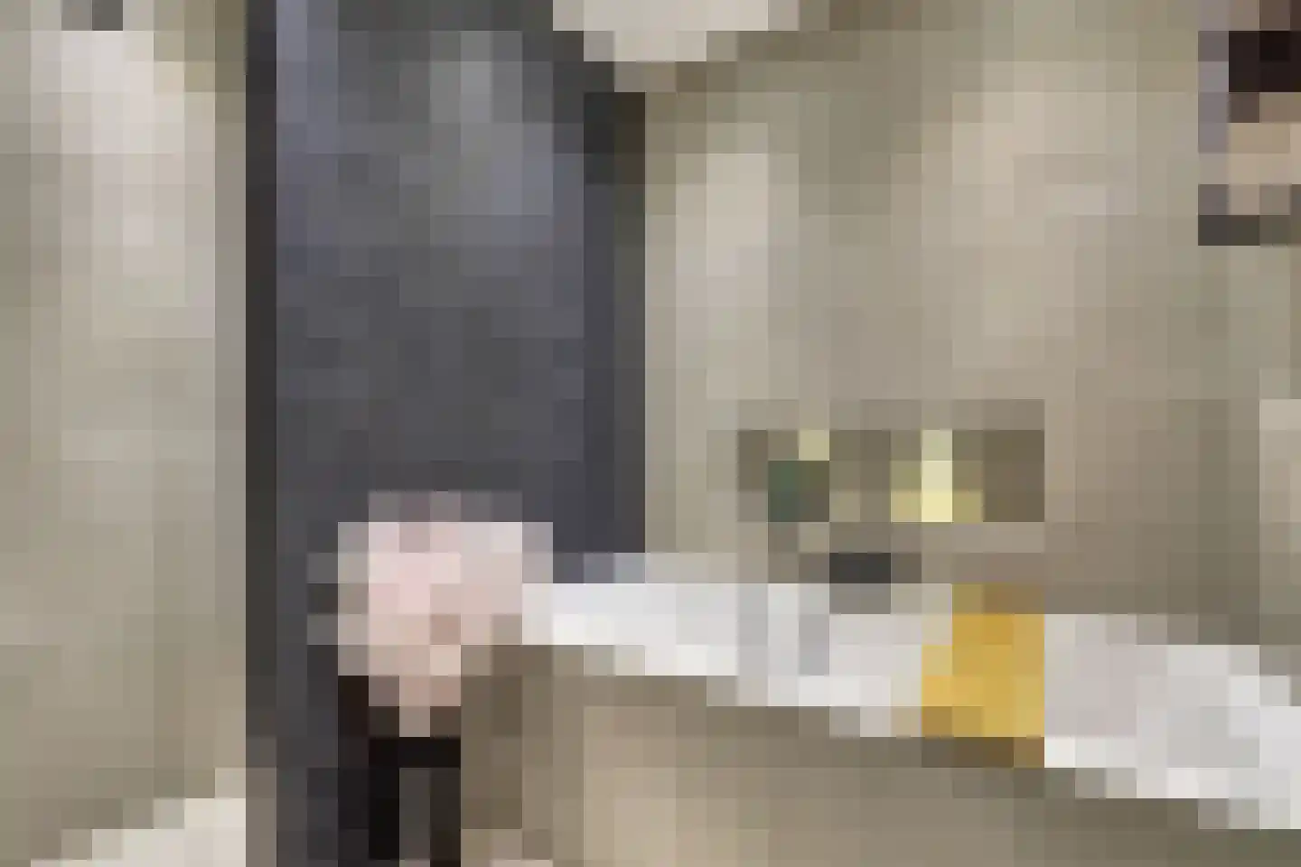 Sikkel 61 Hendrik-Ido-Ambacht thumbnail 33