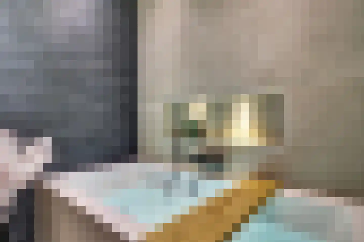 Sikkel 61 Hendrik-Ido-Ambacht thumbnail 34