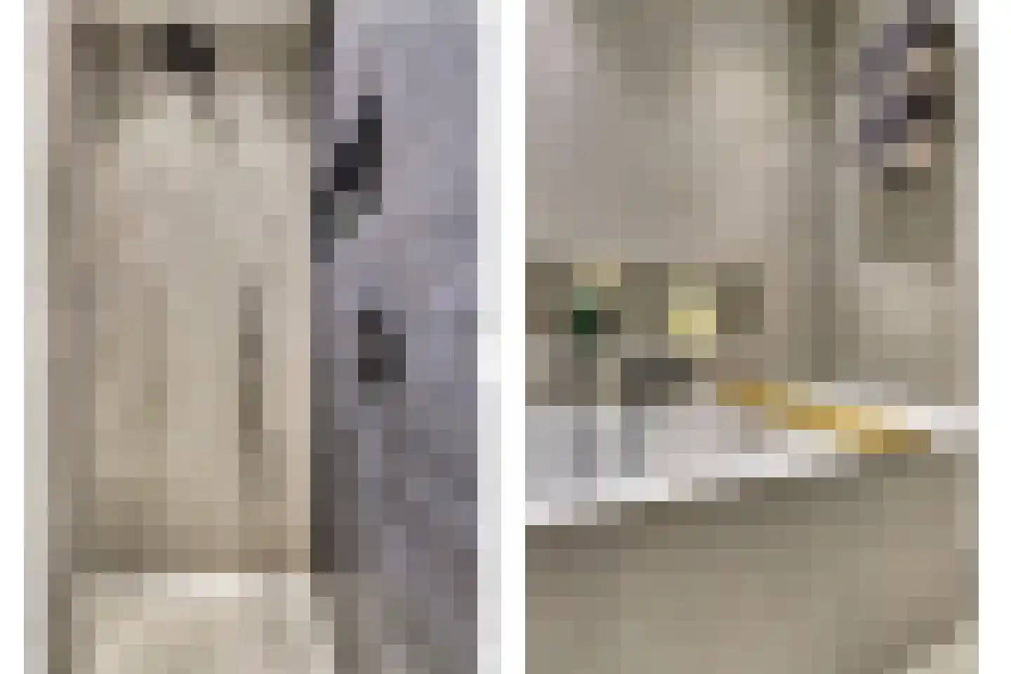 Sikkel 61 Hendrik-Ido-Ambacht thumbnail 35
