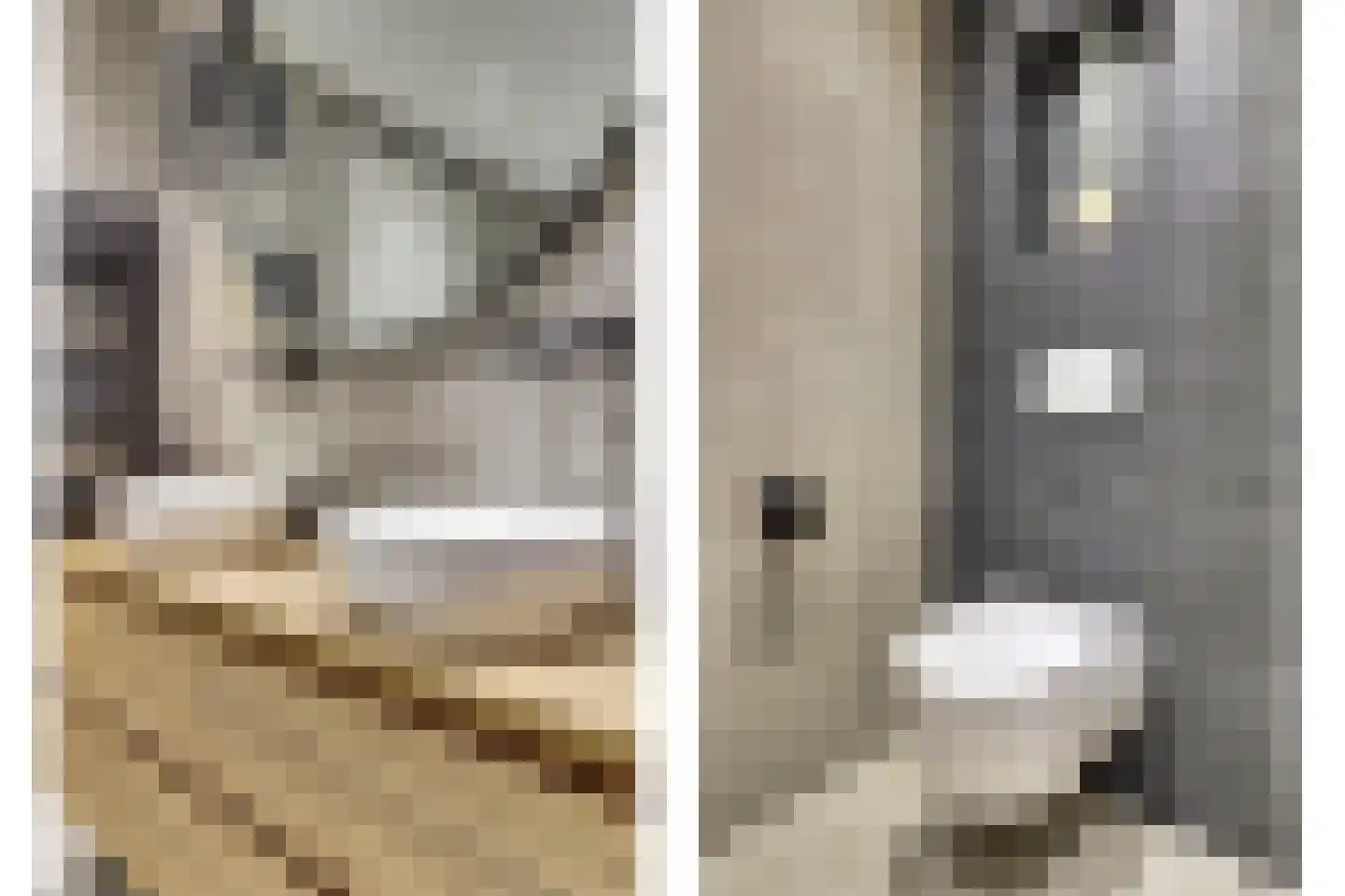 Sikkel 61 Hendrik-Ido-Ambacht thumbnail 36