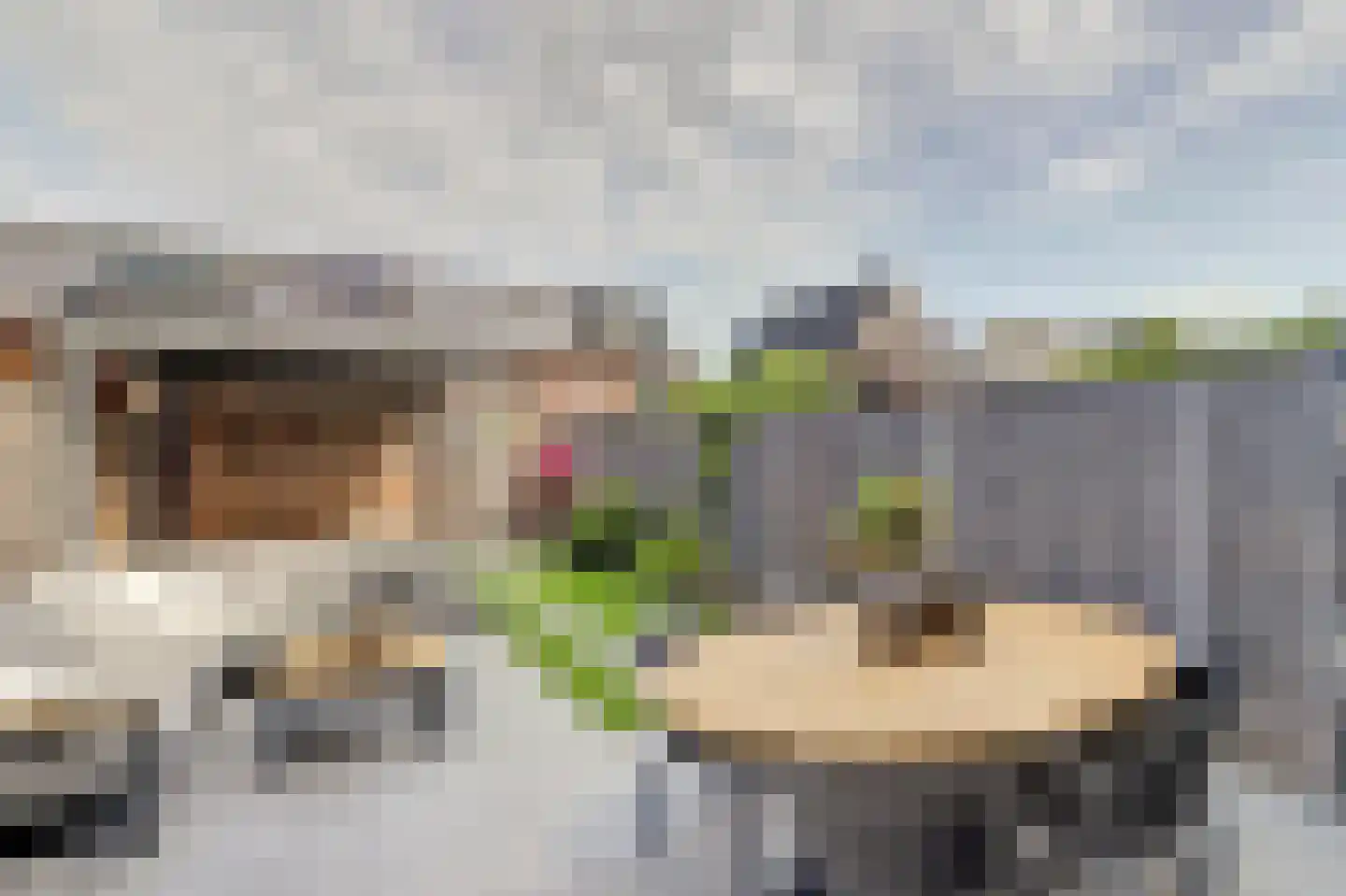 Sikkel 61 Hendrik-Ido-Ambacht thumbnail 44