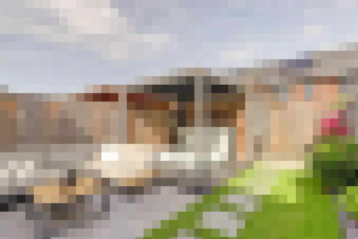 Sikkel 61 Hendrik-Ido-Ambacht thumbnail 54