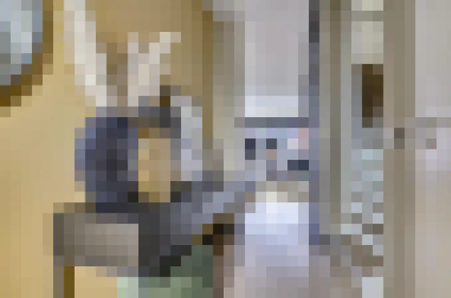 Sikkel 61 Hendrik-Ido-Ambacht thumbnail 8