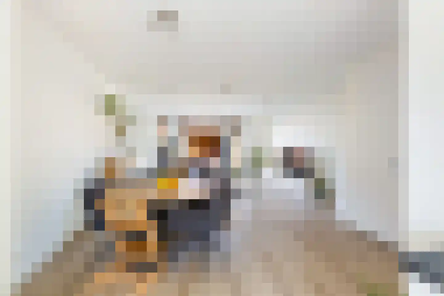 Sikkel 63 Hendrik-Ido-Ambacht thumbnail 18
