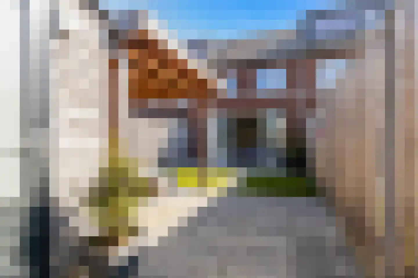 Sikkel 63 Hendrik-Ido-Ambacht thumbnail 43