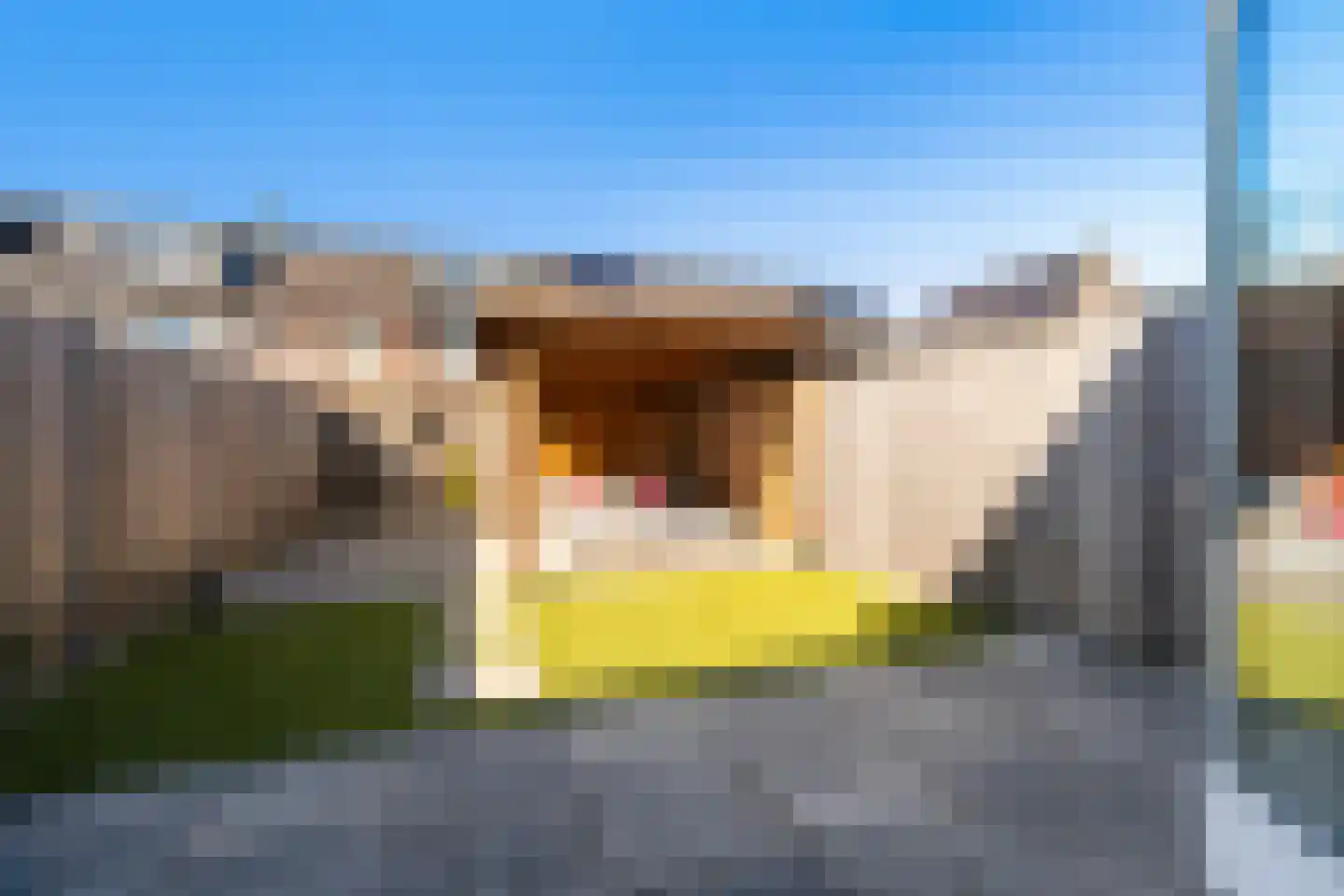 Sikkel 63 Hendrik-Ido-Ambacht thumbnail 44