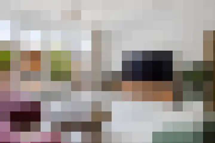 Sikkel 7 Hendrik-Ido-Ambacht thumbnail 12