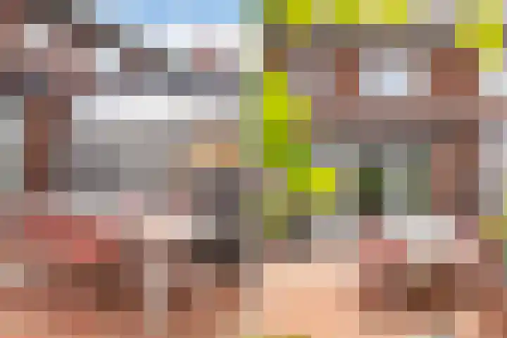 Sikkel 7 Hendrik-Ido-Ambacht thumbnail 16