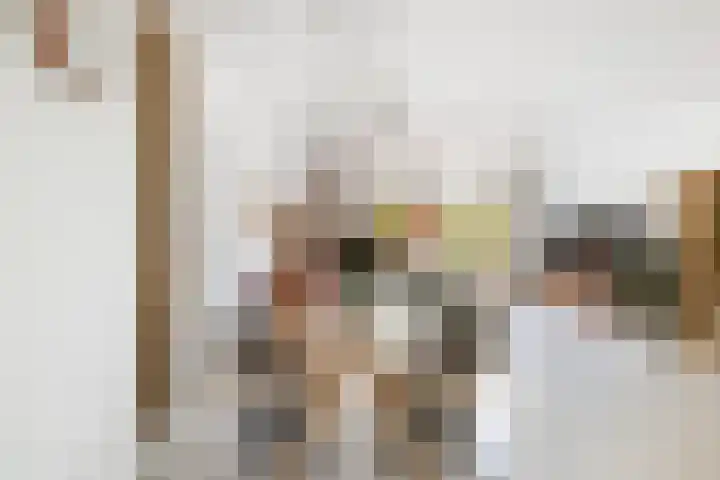 Sikkel 7 Hendrik-Ido-Ambacht thumbnail 19