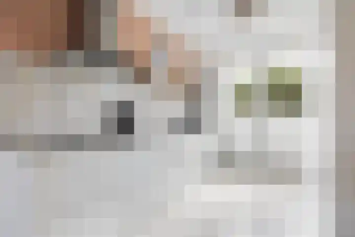 Sikkel 7 Hendrik-Ido-Ambacht foto 2