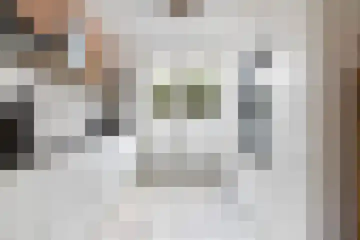 Sikkel 7 Hendrik-Ido-Ambacht thumbnail 22