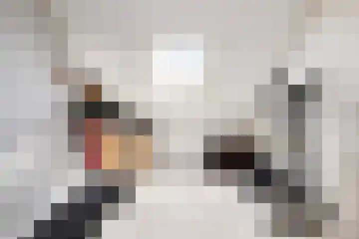 Sikkel 7 Hendrik-Ido-Ambacht thumbnail 33