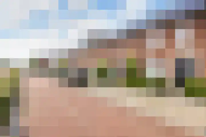 Sikkel 7 Hendrik-Ido-Ambacht thumbnail 6