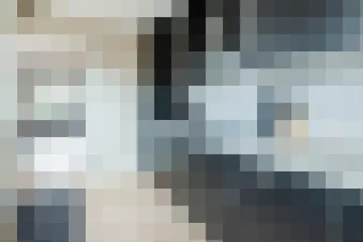 Sikkel 74 Hasselt thumbnail 11