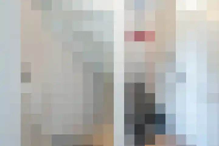 Sikkel 74 Hasselt thumbnail 15
