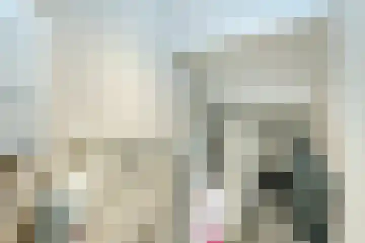 Sikkel 74 Hasselt thumbnail 27