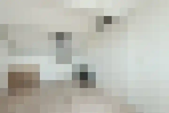 Sikkel 74 Hasselt thumbnail 30
