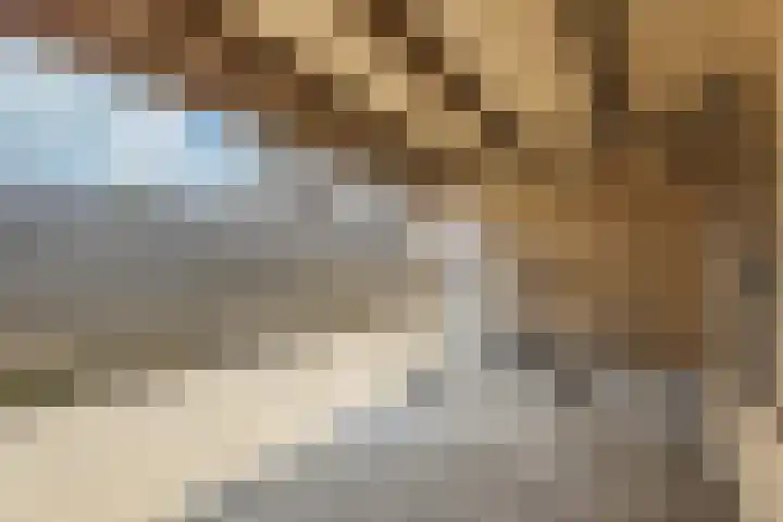 Sikkel 74 Hasselt thumbnail 32