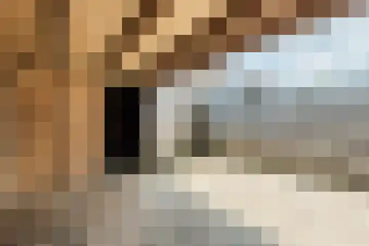 Sikkel 74 Hasselt thumbnail 33