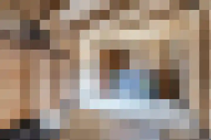 Sikkel 74 Hasselt thumbnail 34