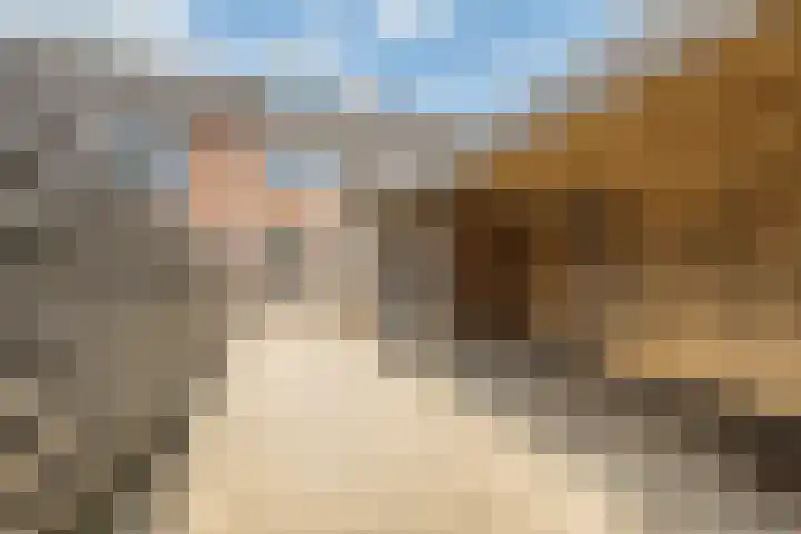 Sikkel 74 Hasselt thumbnail 38