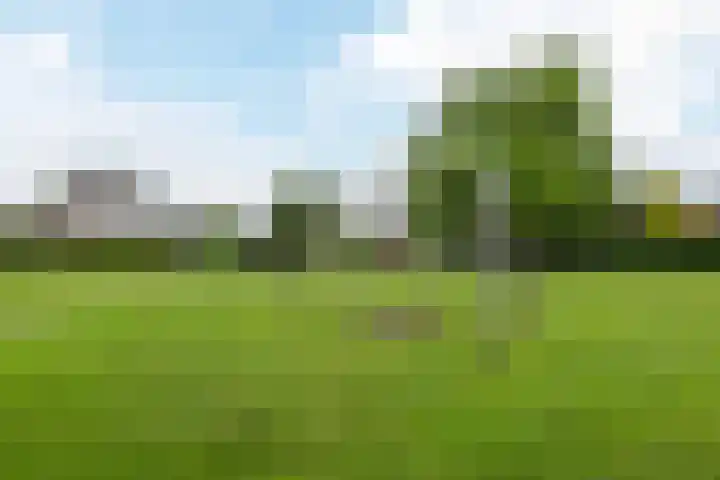 Sikkel 74 Hasselt thumbnail 39
