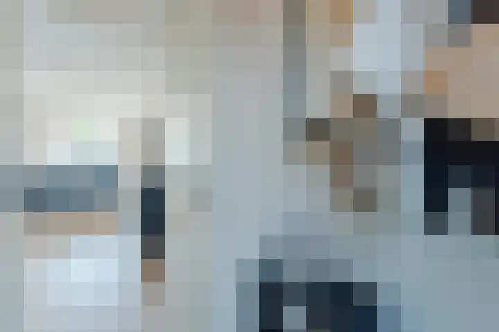 Sikkel 74 Hasselt thumbnail 6