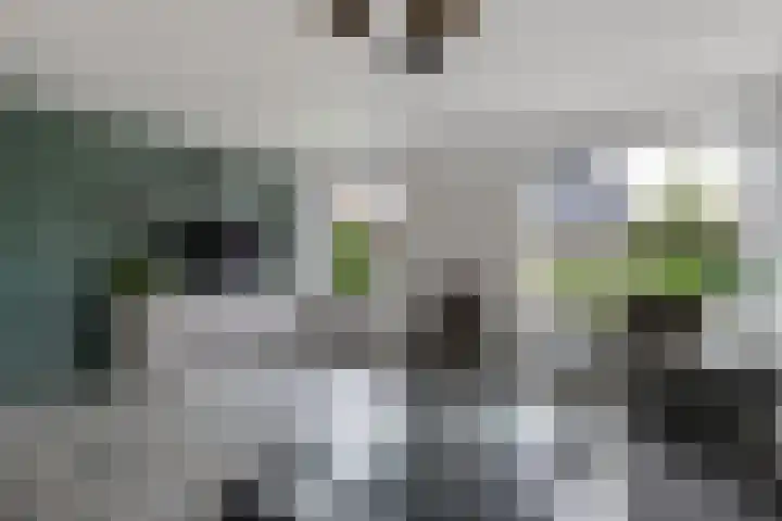 Sikkel 9 't Zand