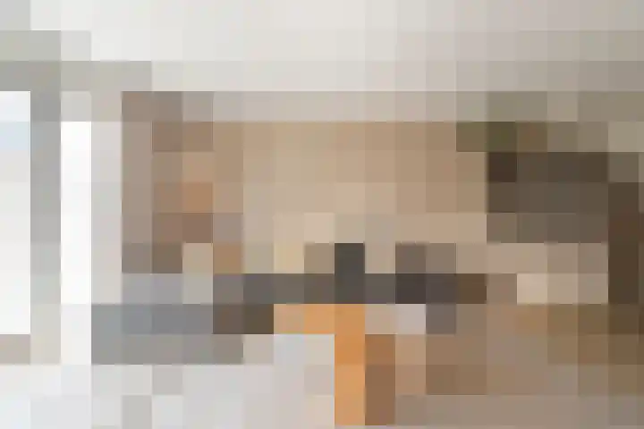 Sikkel 9 't Zand thumbnail 10