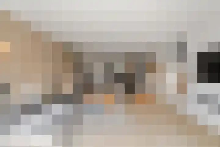 Sikkel 9 't Zand thumbnail 11