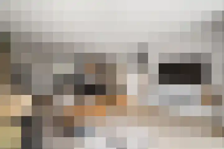 Sikkel 9 't Zand thumbnail 12
