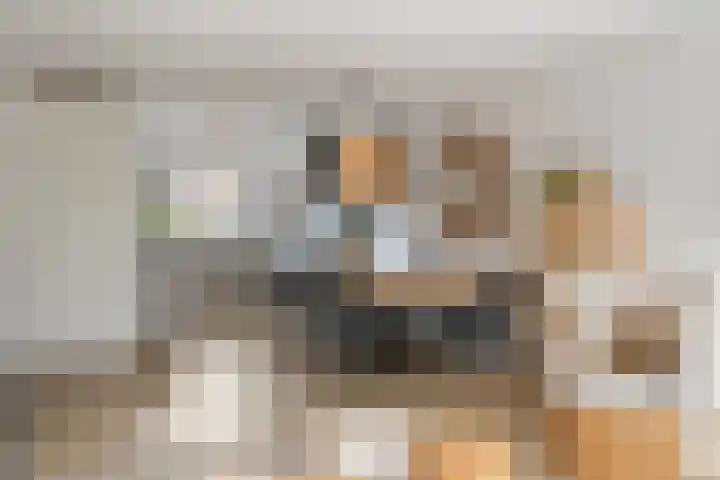Sikkel 9 't Zand thumbnail 13