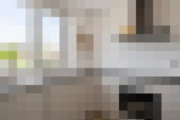 Sikkel 9 't Zand thumbnail 16