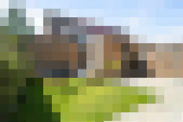 Sikkel 9 't Zand thumbnail 37