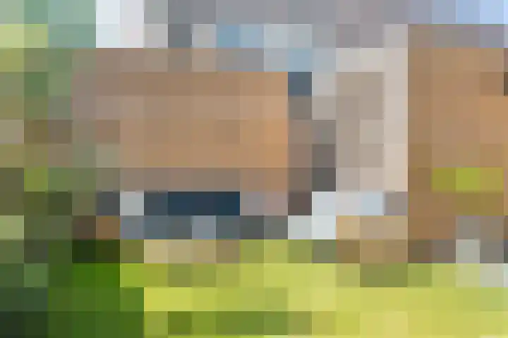 Sikkel 9 't Zand thumbnail 38