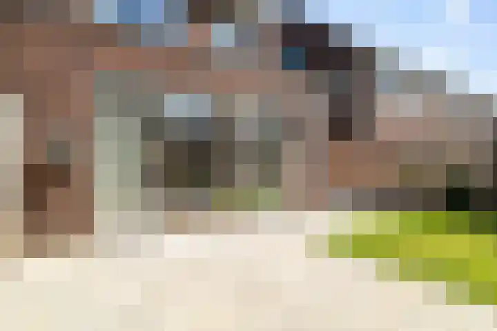 Sikkel 9 't Zand thumbnail 41