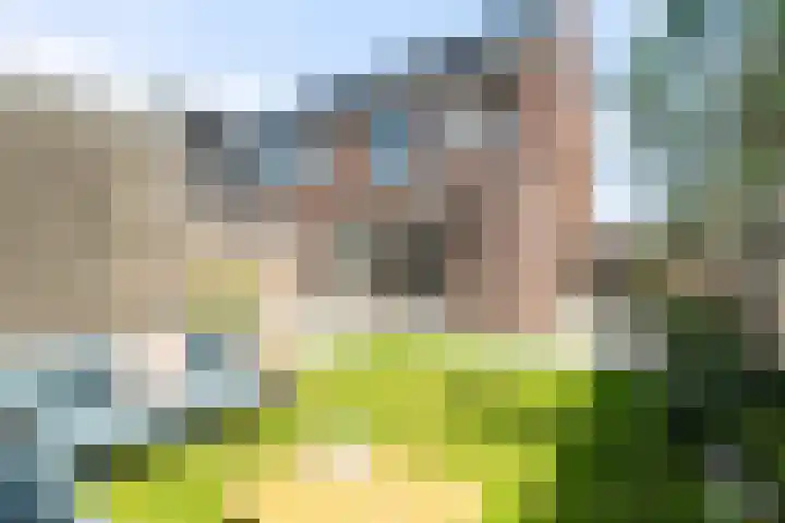 Sikkel 9 't Zand thumbnail 42