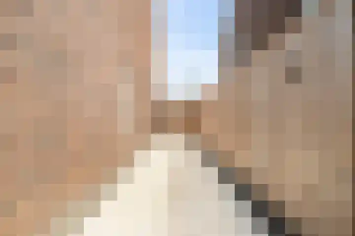 Sikkel 9 't Zand thumbnail 44