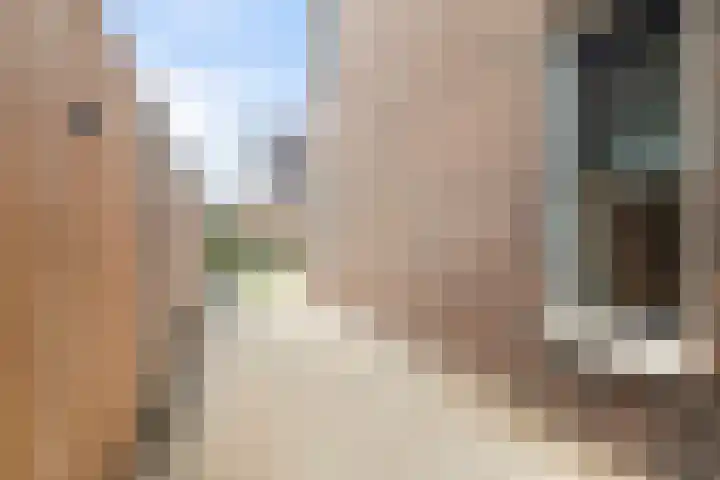 Sikkel 9 't Zand thumbnail 45