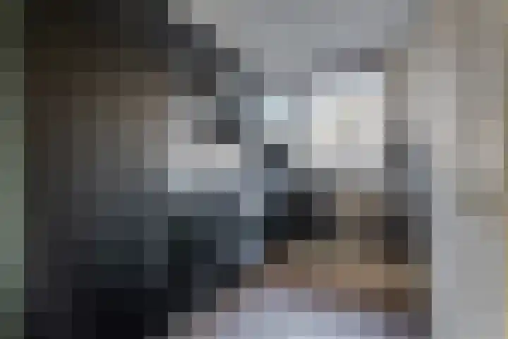 Sikkel 94 Hasselt thumbnail 11