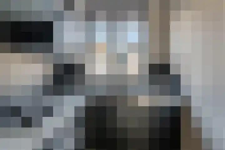 Sikkel 94 Hasselt thumbnail 12