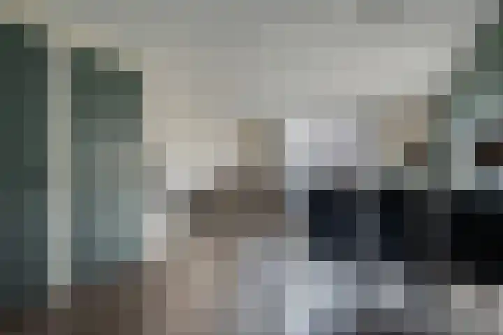 Sikkel 94 Hasselt thumbnail 13
