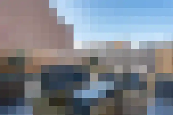 Sikkel 94 Hasselt thumbnail 15