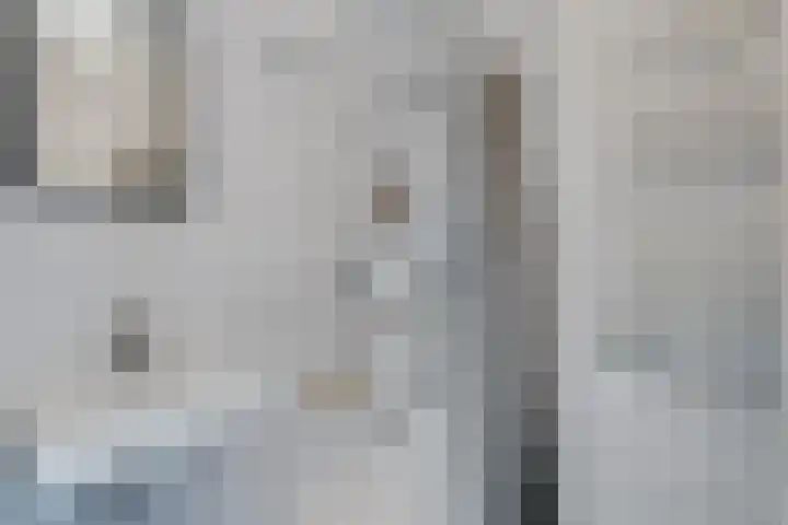 Sikkel 94 Hasselt thumbnail 21