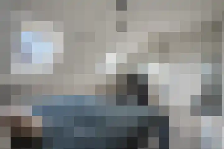 Sikkel 94 Hasselt thumbnail 26